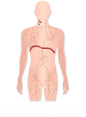 Illustration of nodes