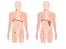 Illustration of nodes
